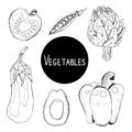 Vector doodle set of contours of vegetables isolated on a white background.